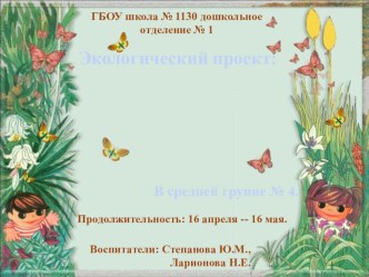 Экологический проект: Волшебный росток (для детей 4-5лет). Продолжительность: 1 месяц проект по окружающему миру (средняя группа) по теме