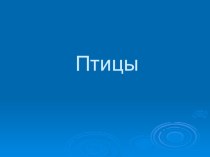 Презентация Птицы презентация к занятию по окружающему миру (средняя группа) по теме