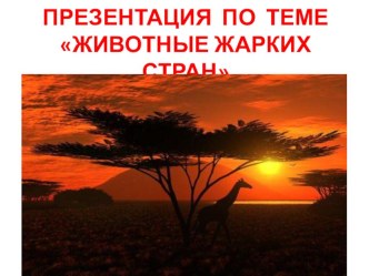 Животные жарких стран презентация к уроку (младшая группа)