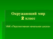 Конспект урока и презентация по окружающему миру по теме Звери план-конспект урока по окружающему миру (2 класс)