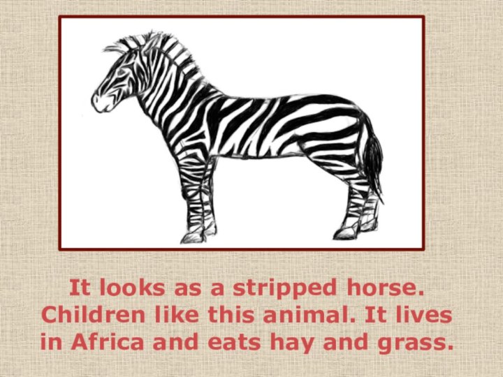 It looks as a stripped horse. Children like this animal. It lives