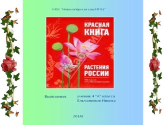 Презентация к уроку окружающего мира по теме Растения Красной книги презентация к уроку по окружающему миру (4 класс)