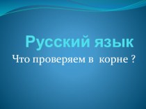 Презентация к уроку русского языка Что проверяем в корне? презентация к уроку по русскому языку (2 класс)