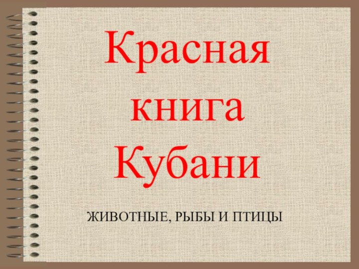 Красная книга КубаниЖИВОТНЫЕ, РЫБЫ И ПТИЦЫ