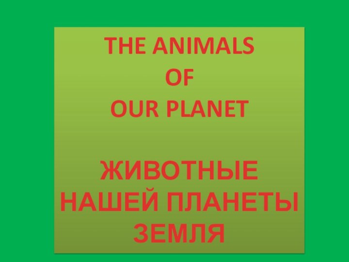 THE ANIMALSOFOUR PLANETЖИВОТНЫЕ НАШЕЙ ПЛАНЕТЫЗЕМЛЯ