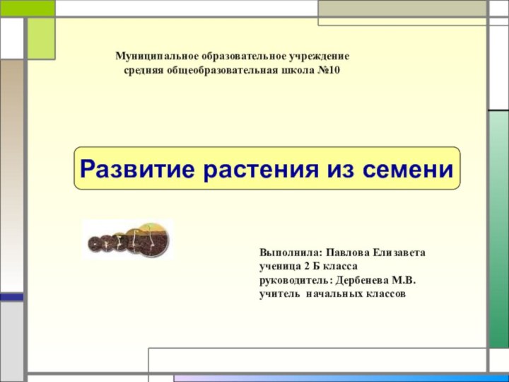 Муниципальное образовательное учреждение   средняя общеобразовательная школа №10Развитие растения из семениВыполнила: