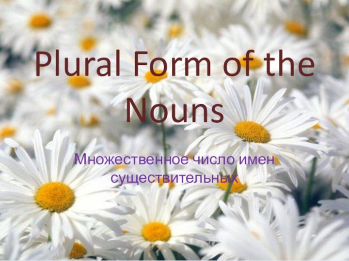Plural Form of the NounsМножественное число имен существительных