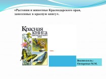 Растения и животные Краснодарского края, занесенные в красную книгу. презентация к уроку по окружающему миру (старшая группа)