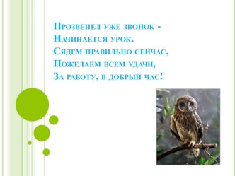 Урок окружающего мира по ФГОС(1 класс Начальная школа 21 века Тема: Птицы), с использованием интерактивного пособия Наглядная школа. план-конспект урока по окружающему миру (1 класс)