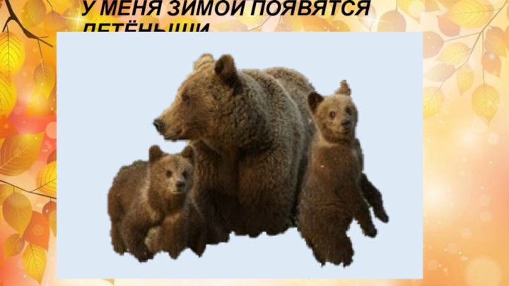 У МЕНЯ ЗИМОЙ ПОЯВЯТСЯ ДЕТЁНЫШИ