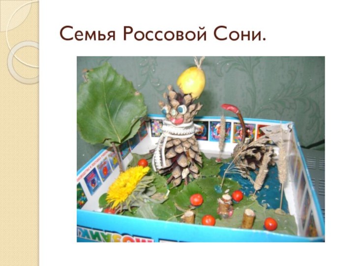 Семья Россовой Сони.