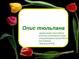 Урок розвитку мовлення. Опис тюльпана. презентация к уроку (2 класс) по теме