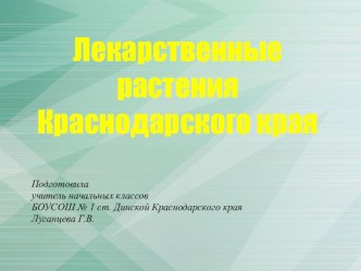 Лекарственные растения Краснодарского края презентация урока для интерактивной доски по окружающему миру (2 класс)