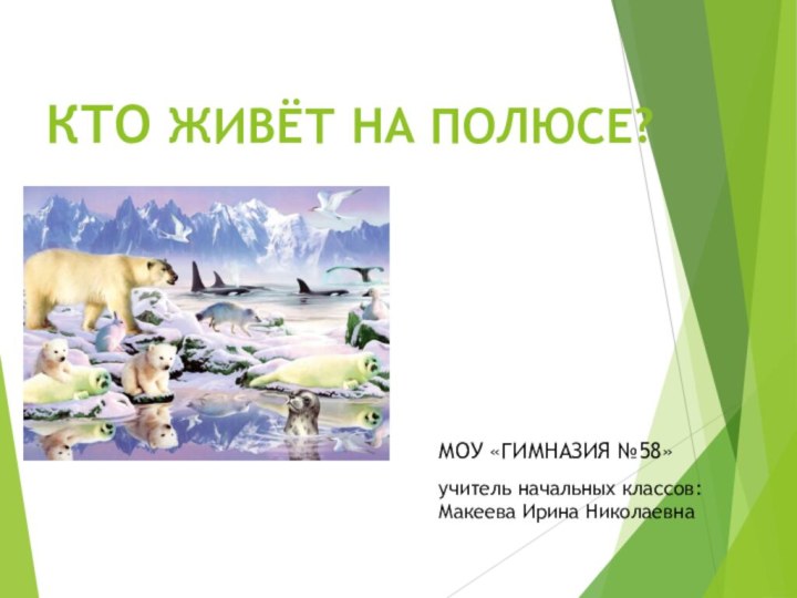 КТО ЖИВЁТ НА ПОЛЮСЕ?МОУ «ГИМНАЗИЯ №58»учитель начальных классов: Макеева Ирина Николаевна