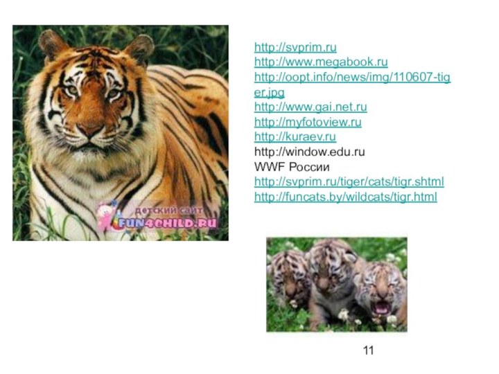 http://svprim.ruhttp://www.megabook.ruhttp://oopt.info/news/img/110607-tiger.jpghttp://www.gai.net.ruhttp://myfotoview.ruhttp://kuraev.ruhttp://window.edu.ru WWF России http://svprim.ru/tiger/cats/tigr.shtmlhttp://funcats.by/wildcats/tigr.html