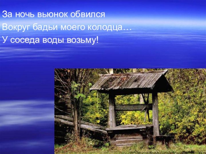 За ночь вьюнок обвилсяВокруг бадьи моего колодца…У соседа воды возьму!