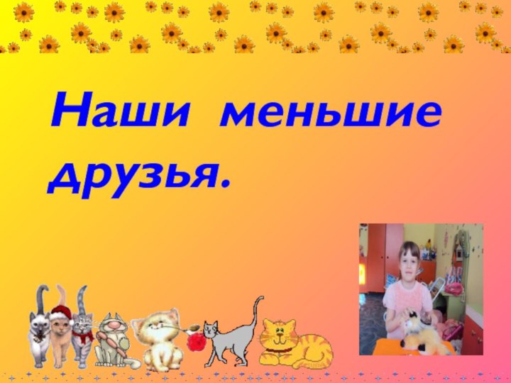 Наши меньшие друзья.