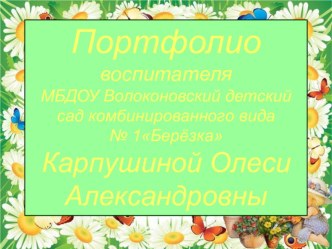 Портфолио презентация