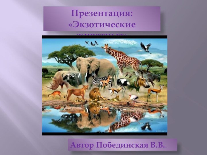 Презентация:«Экзотические животные»Автор Побединская В.В..