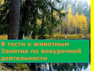 Презентация по внеурочной деятельности В гости и к животным презентация урока для интерактивной доски по окружающему миру (2 класс) по теме