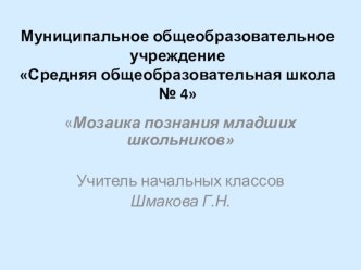 Перспективная начальная школа презентация по теме