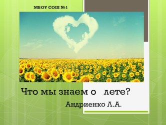 Дидактическая игра Что мы знаем о лете