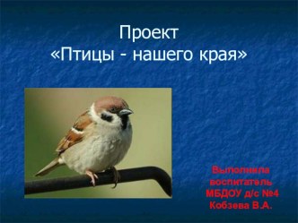 проект Птицы- нашего края презентация к уроку по окружающему миру (старшая группа)