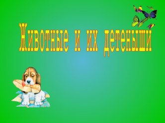 Презентация Животные и их детеныши презентация