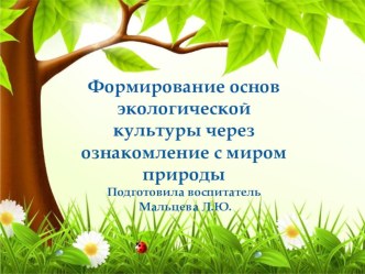 Формирование основ экологической культуры через ознакомление с миром природы презентация по окружающему миру