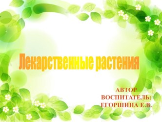 Конспект ООД Лекарственные растения план-конспект занятия по окружающему миру (старшая группа) Муниципальное дошкольное образовательное учреждение   Конспект ООДпо окружающему мирудля детей старшего дошкольного возраста 