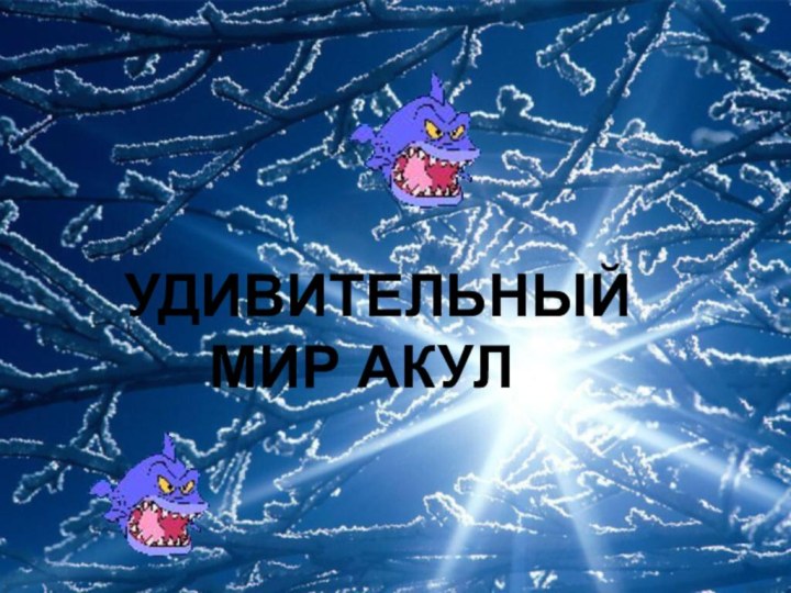 Удивительный мир акул