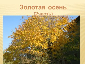 Золотая осень (2часть)