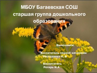 Групповое занятие по экологии. презентация к уроку по окружающему миру (старшая группа)