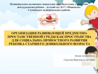 Проект Организация развивающей предметно-пространственной среды как пространства для социально-личностного развития ребенка старшего дошкольного возраста проект (старшая группа)