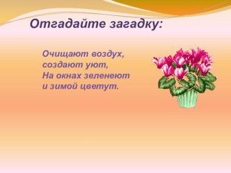 Комнатные растения презентация к уроку по окружающему миру (2 класс) по теме