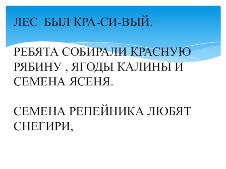 ЛЕС БЫЛ КРА-СИ-ВЫЙ.  РЕБЯТА СОБИРАЛИ КРАСНУЮ РЯБИНУ