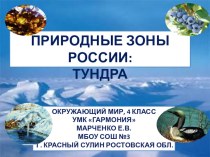 Природные зоны: тундра презентация к уроку (окружающий мир, 4 класс)