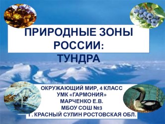 Природные зоны: тундра презентация к уроку (окружающий мир, 4 класс)