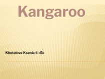 kangaroos