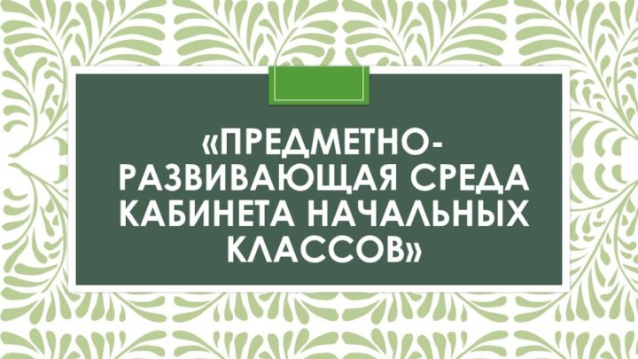 «Предметно-развивающая среда кабинета начальных классов»