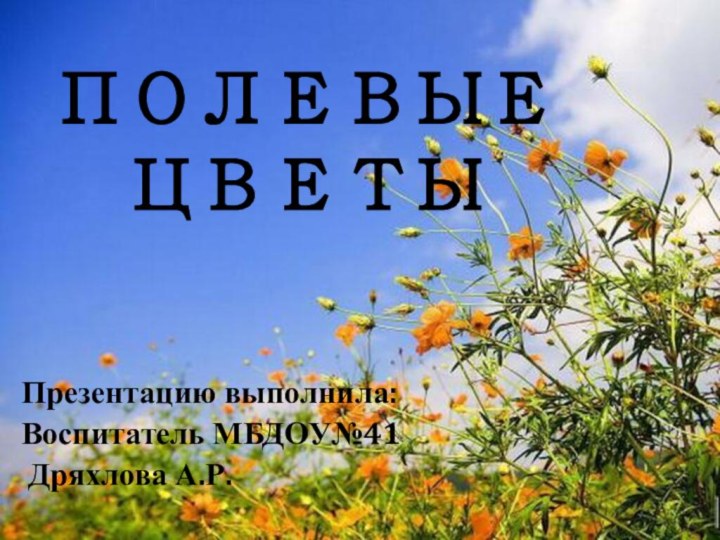 ПОЛЕВЫЕ ЦВЕТЫПрезентацию выполнила:Воспитатель МБДОУ№41 Дряхлова А.Р.