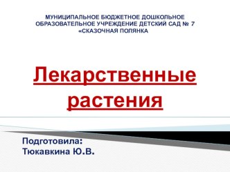 ЛЕКАРСТВЕННЫЕ РАСТЕНИЯ презентация к уроку по окружающему миру (старшая, подготовительная группа)