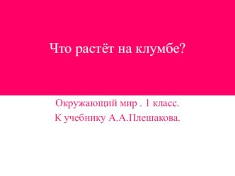 Что растёт на клумбе? (презентация к уроку Окружающий мир 1 класс к учебнику А.А. Плешакова) презентация к уроку по окружающему миру (1 класс) по теме