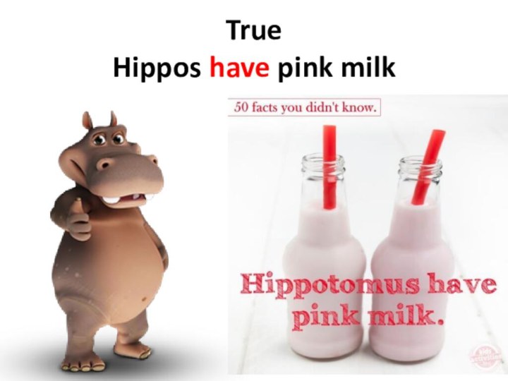 True Hippos have pink milk