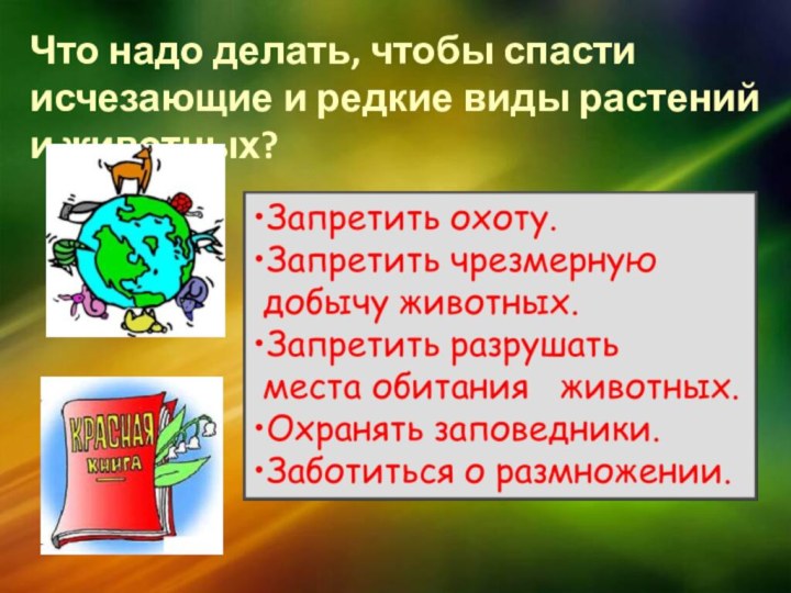 Что надо делать, чтобы спасти исчезающие и редкие виды растений и животных?