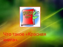 Презентация Что такое Красная книга? презентация к уроку по окружающему миру (старшая группа) по теме