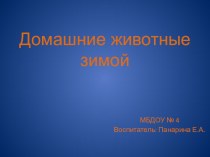 Домашнии животные зимой презентация к уроку по окружающему миру (младшая группа)