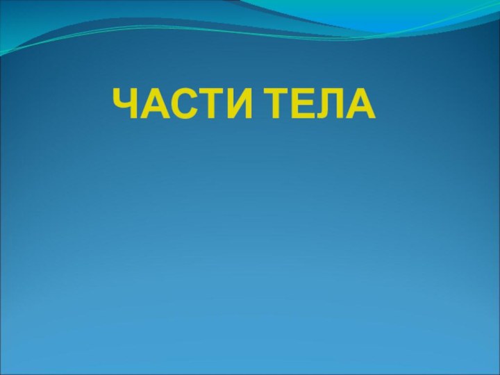 ЧАСТИ ТЕЛА