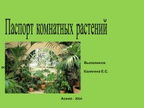Паспорт комнатных растений презентация к уроку по окружающему миру (старшая группа)