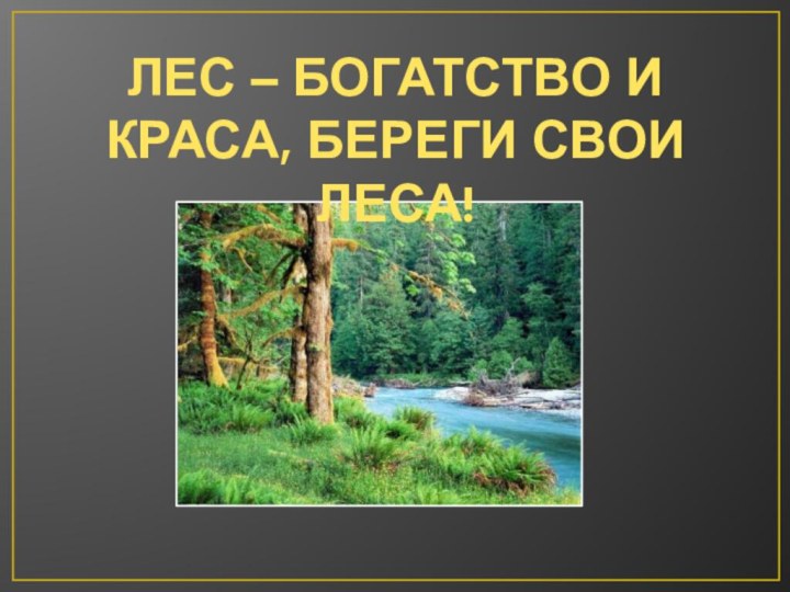 ЛЕС – БОГАТСТВО И КРАСА, БЕРЕГИ СВОИ ЛЕСА!